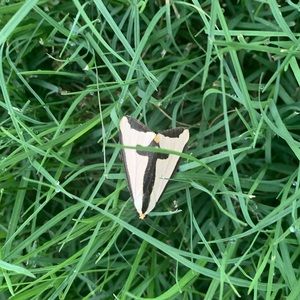 Meet your Posher, Christie